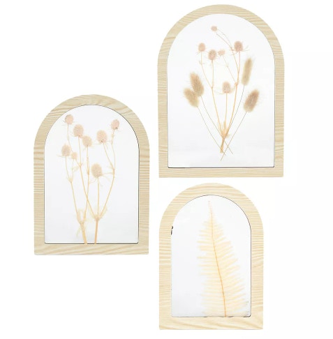 Sonoma Goods For Life® Pressed Botanical Wall Decor 3-piece Set