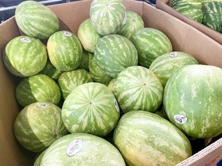 meijer watermelon 2022 th 1656164445 1656164445