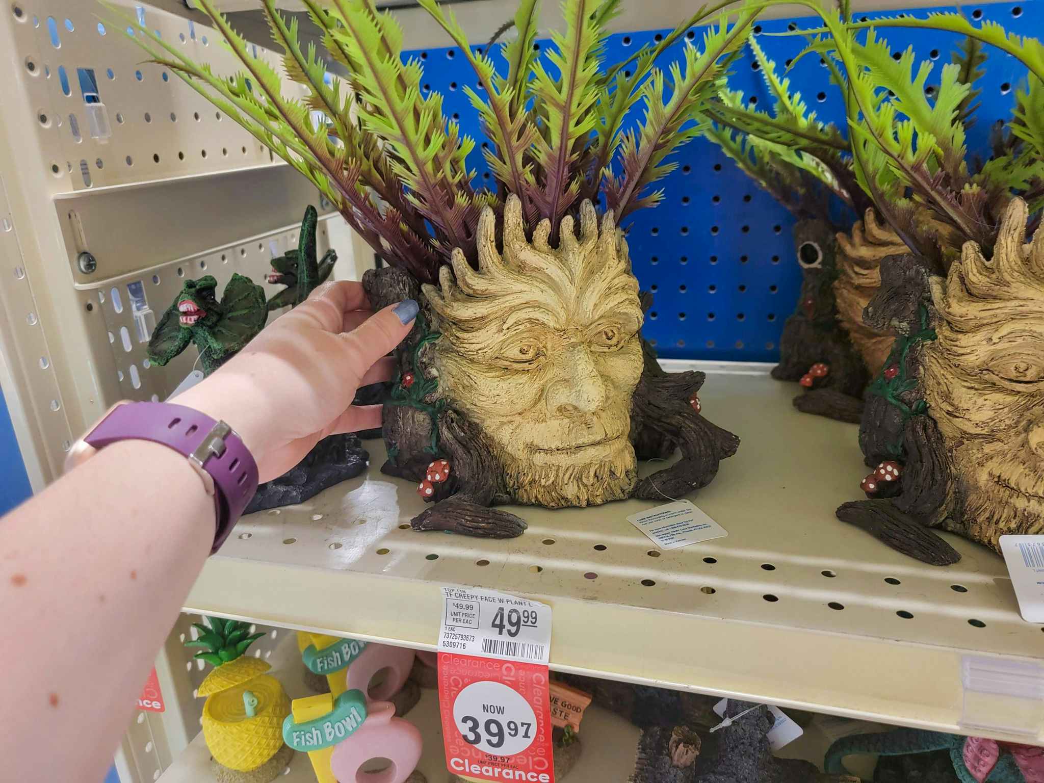 face with plant aquarium decoration