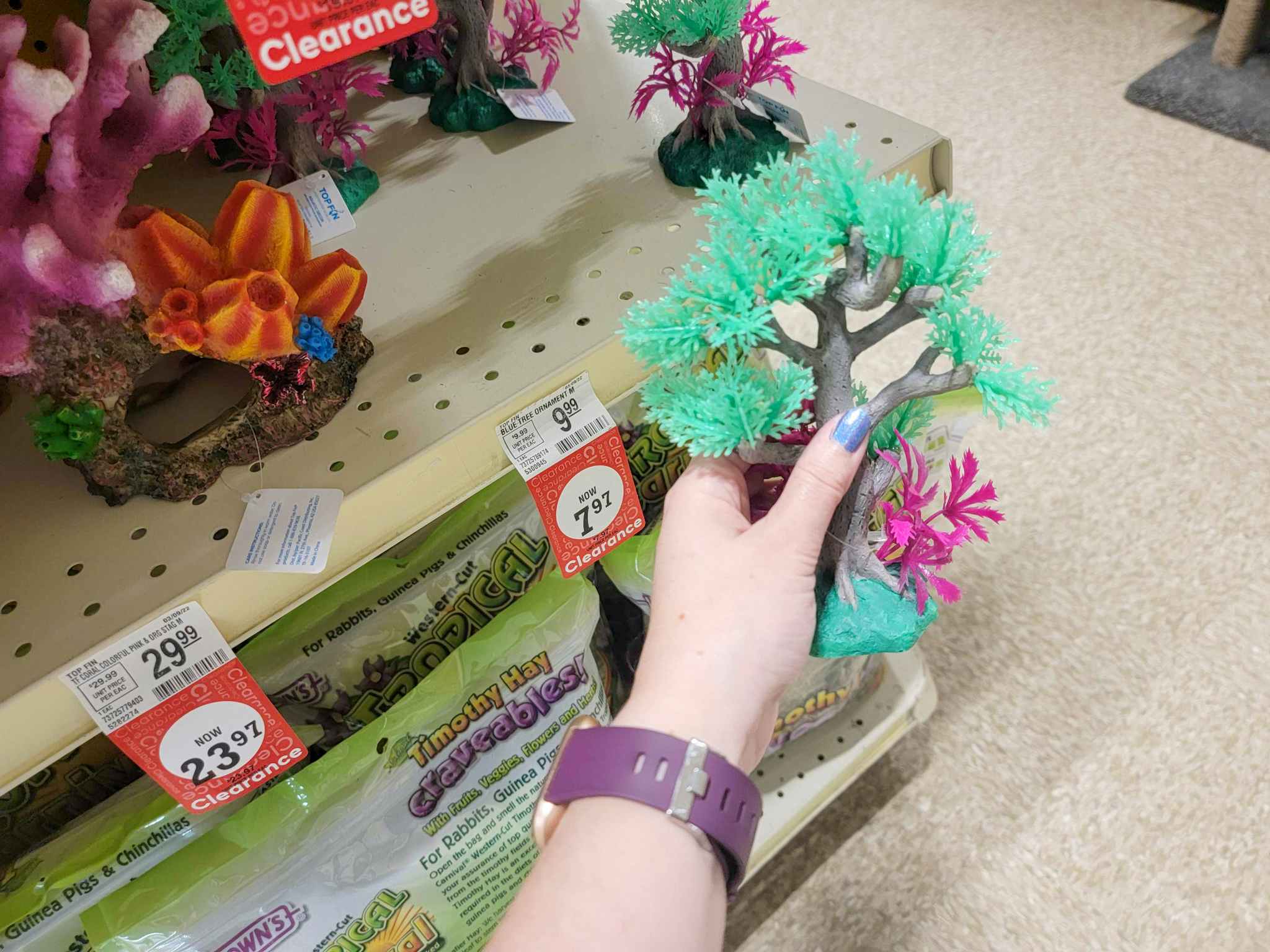 hand holding a tree aquarium decoration