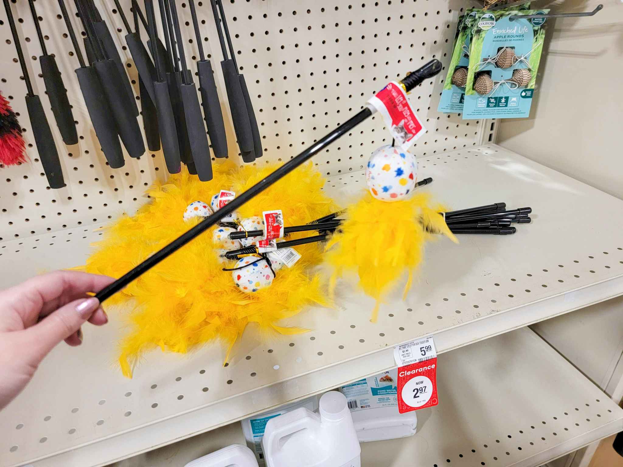 Hand holding a clearance cat toy at PetSmart