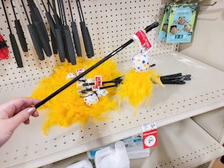Hand holding a clearance cat toy at PetSmart