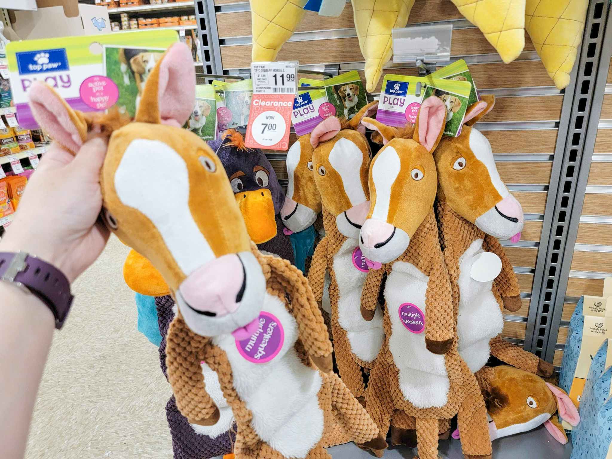 Hand holding a large dog toy at PetSmart