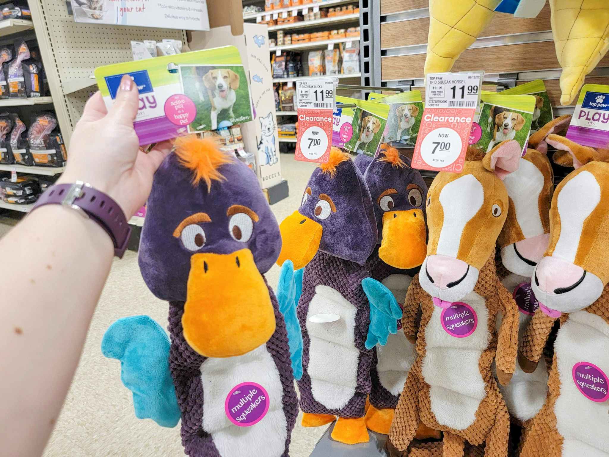 hand holding a large duck dog toy at PetSmart