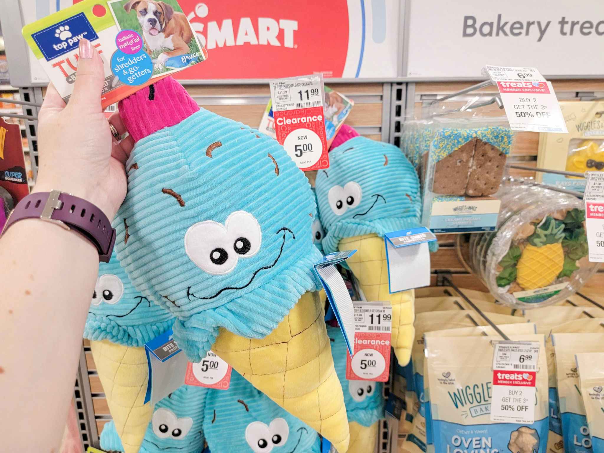 Hand holding an ice cream cone dog toy at PetSmart