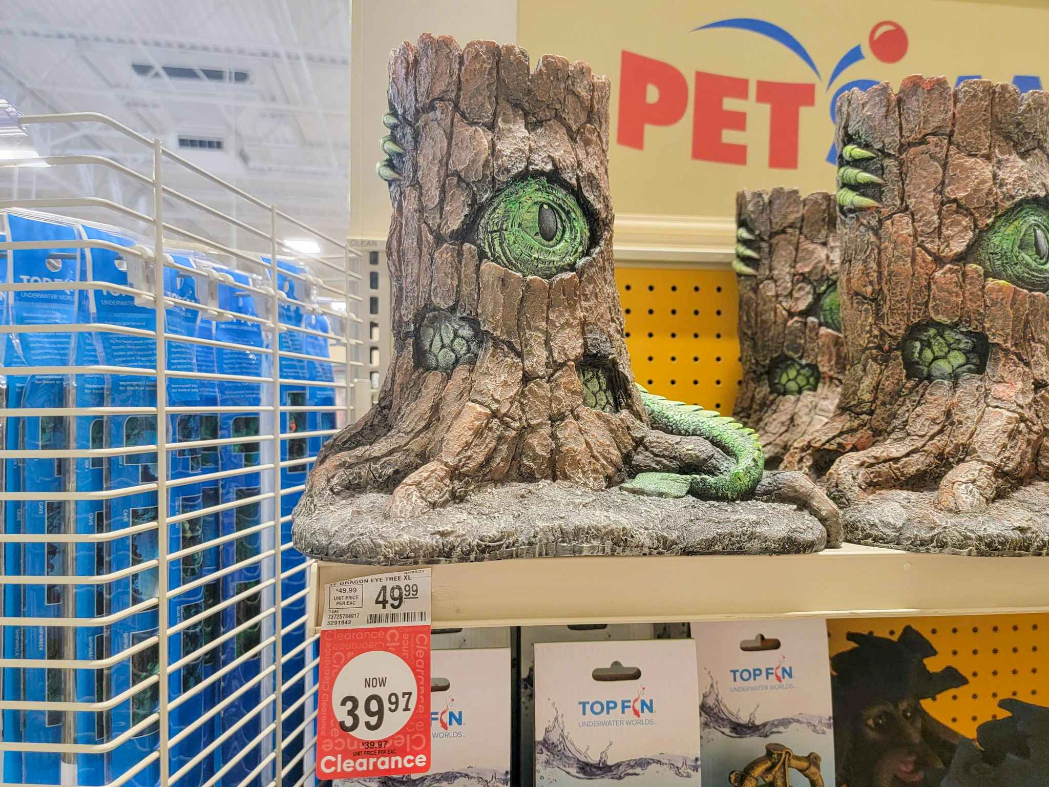 dragon eye in a tree aquarium decoration