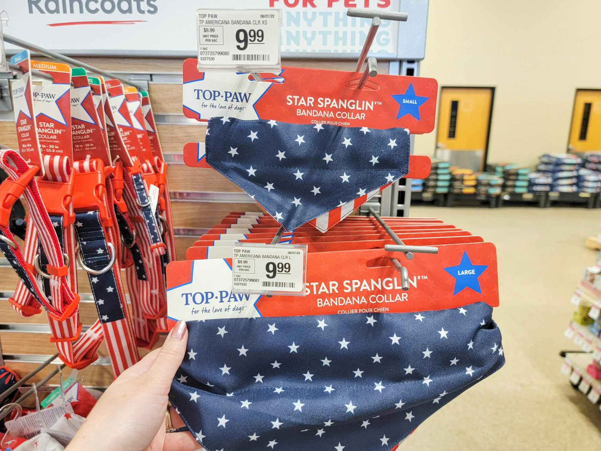 hand holding Fourth of July dog bandanas