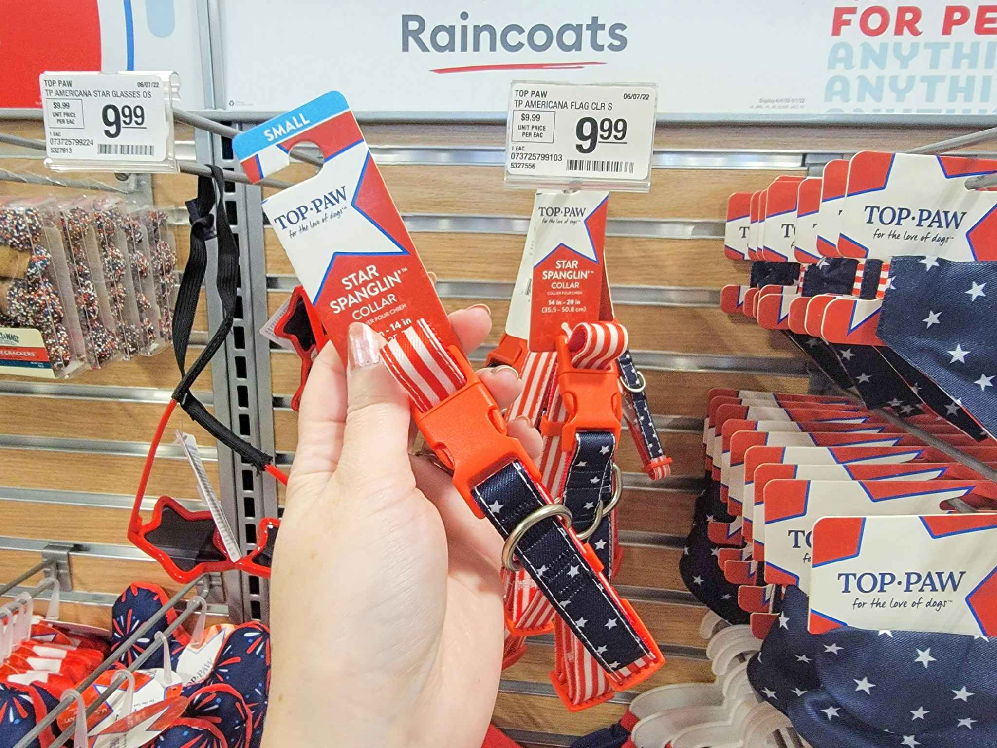 hand holding Fourth of July dog collar