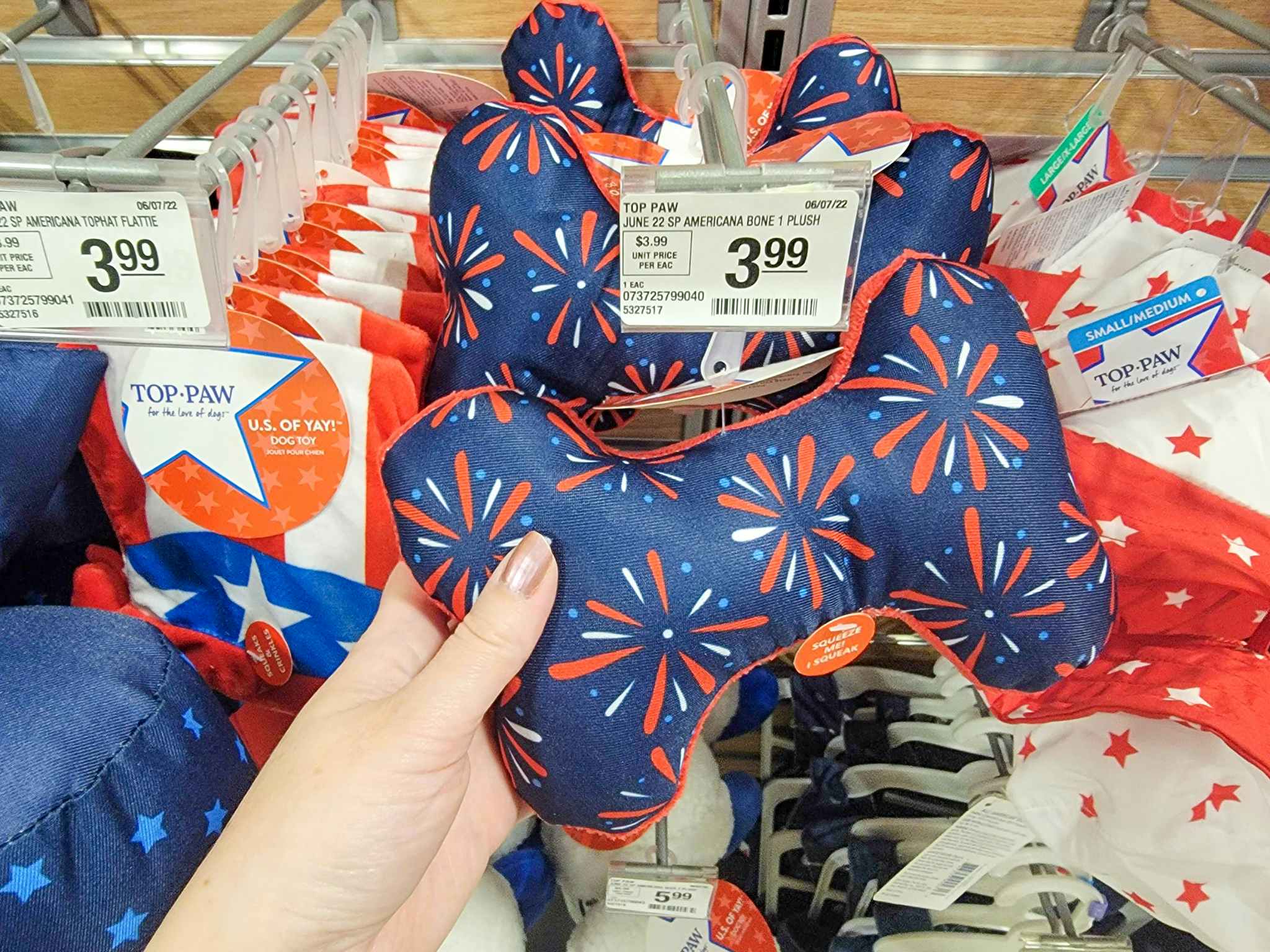 hand holding Fourth of July dog toy