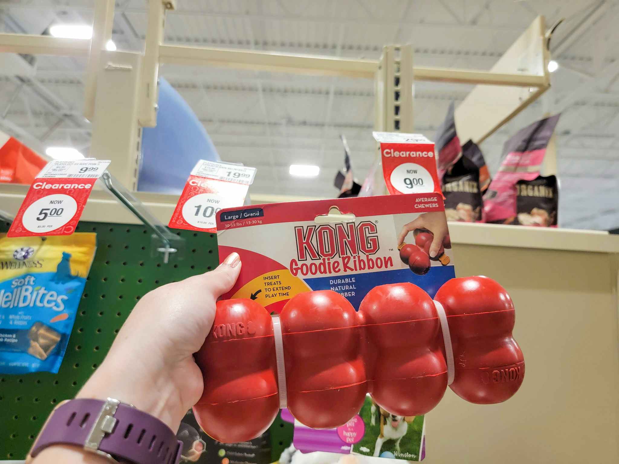 hand holding Kong goodie ribbon dog toy at PetSmart