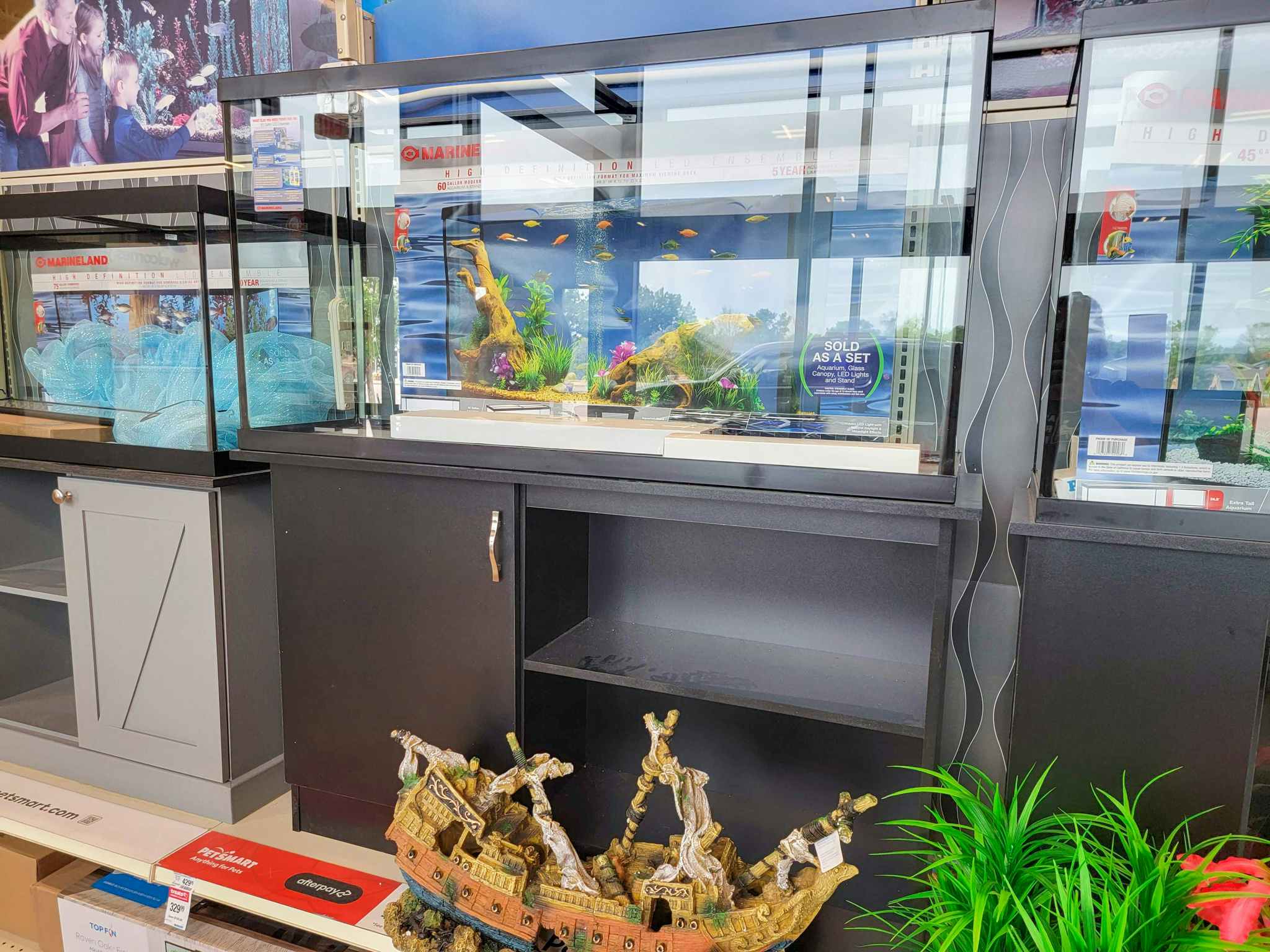 60 gallon aquarium with stand at PetSmart