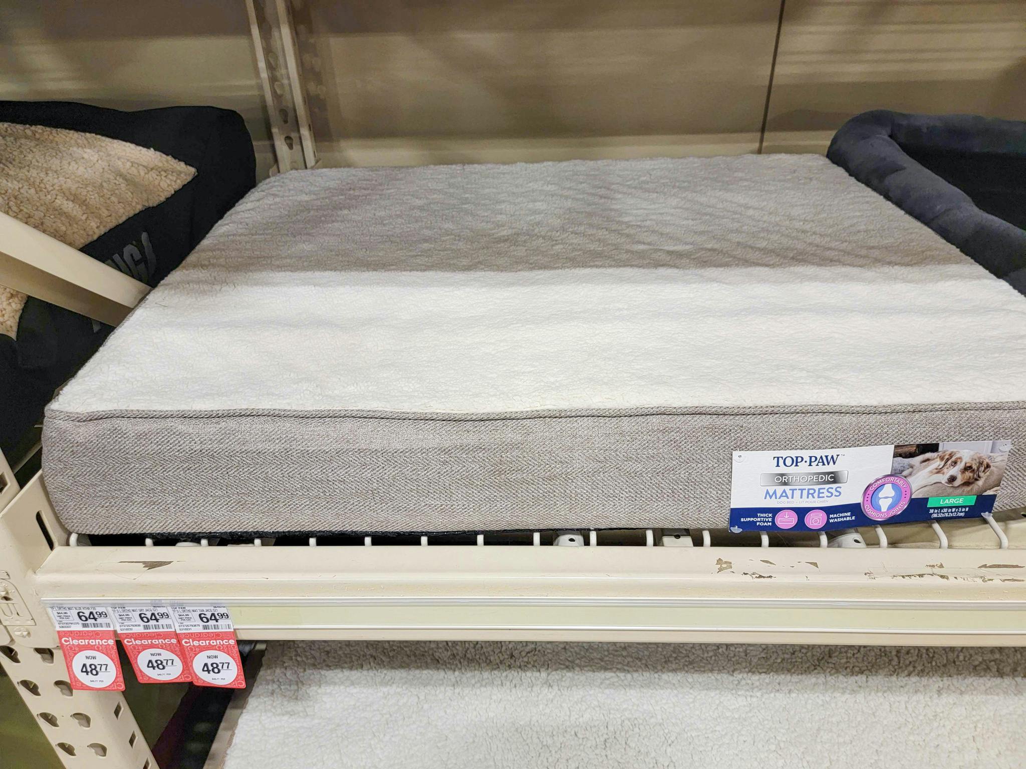 orthopedic dog bed at petsmart