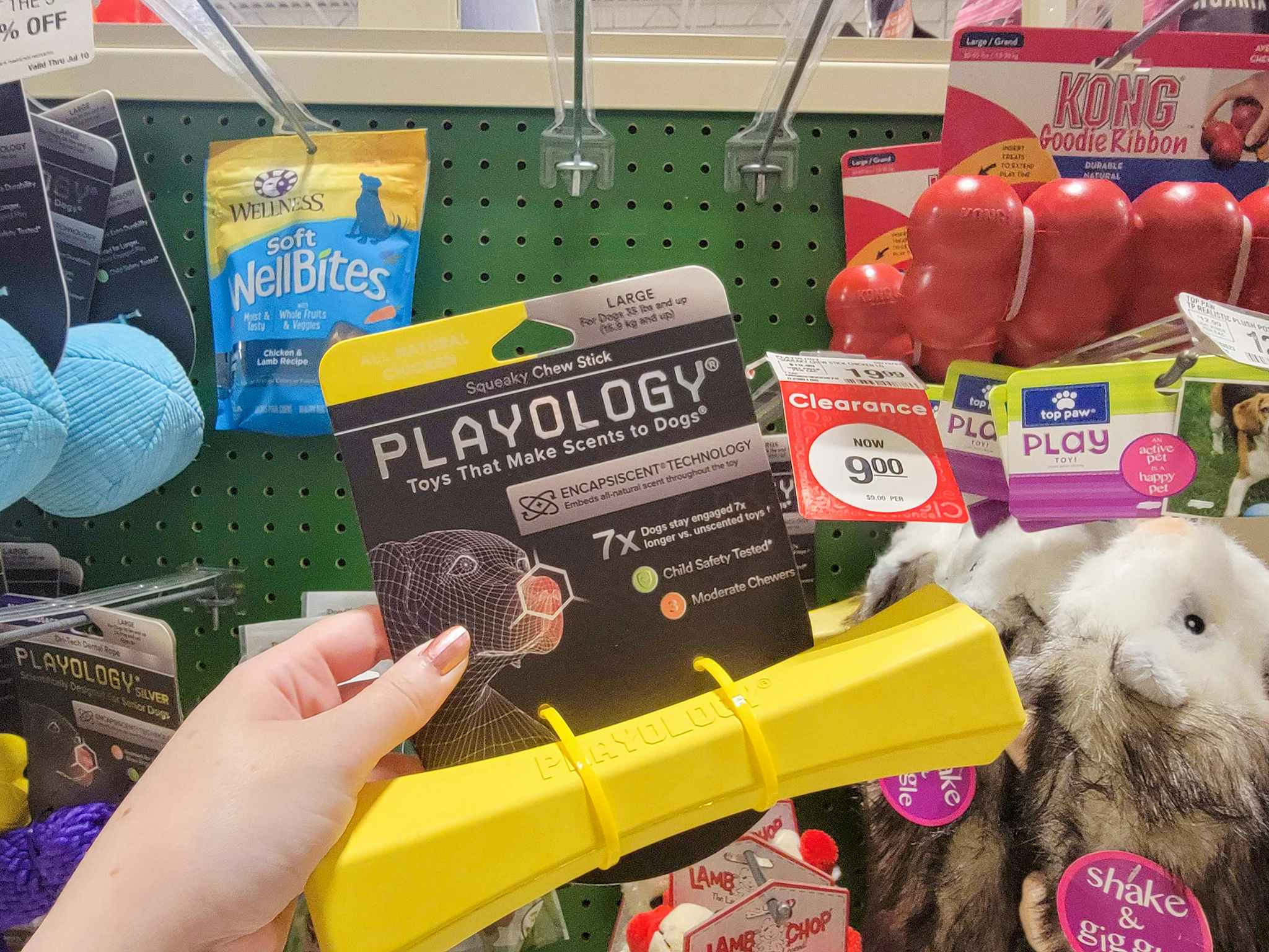 hand holding Playology dog chew toy at PetSmart