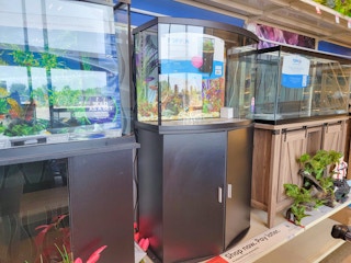 Aquariums at PetSmart