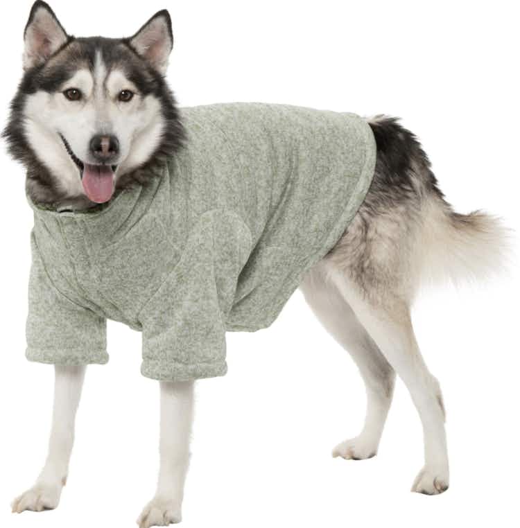 a husky dog wearing a sage green shirt