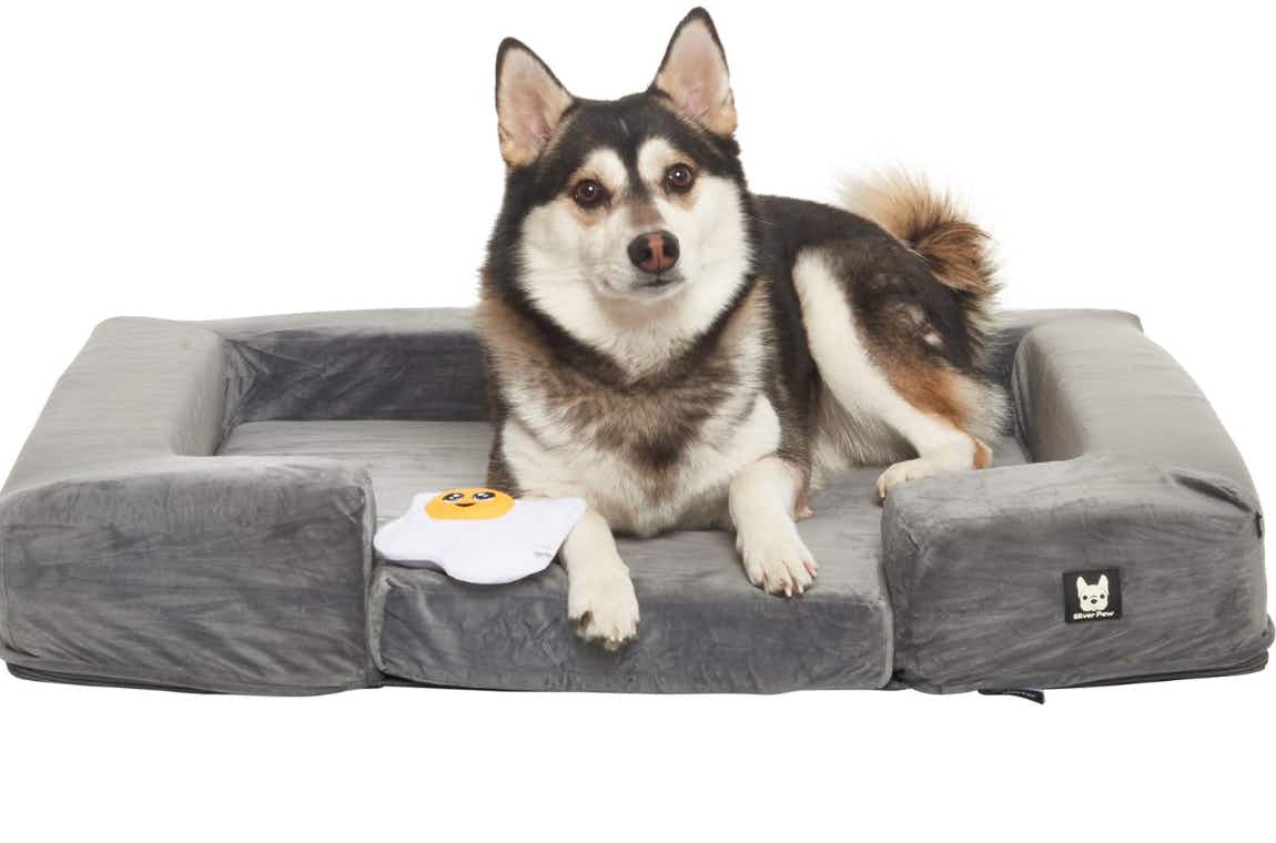 a husky dog laying down in a grey dog bed
