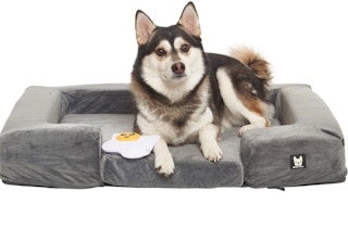 a husky dog laying down in a grey dog bed