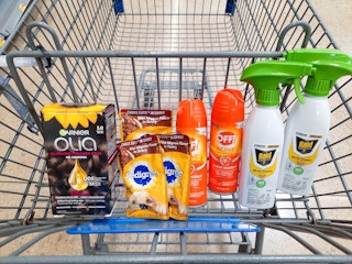 Off, Raid, Garnier Olia, and Pedigree products in Walmart shopping cart