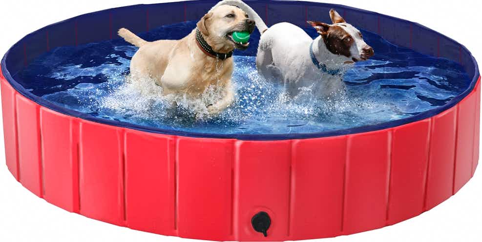 smilemart pet swimming pool