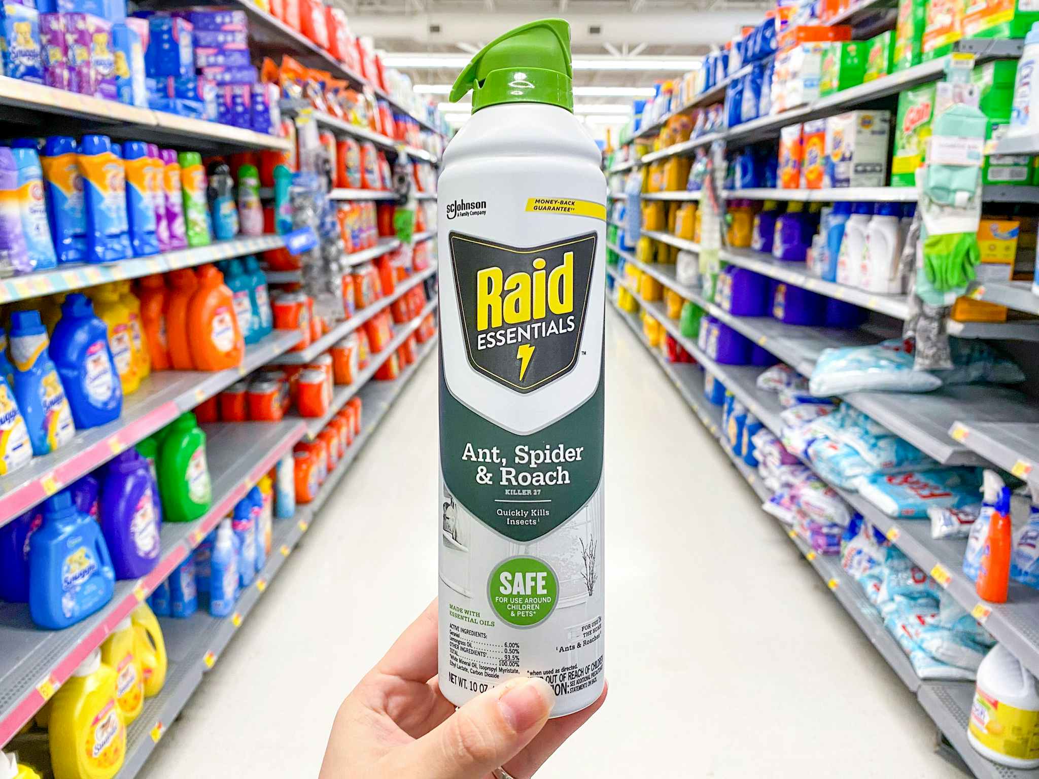 Raid Essentials Ant, Spider, and Roach Killer held in aisle at Walmart
