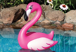 zulily pool float flamingo 061922 1655648668 1655648668