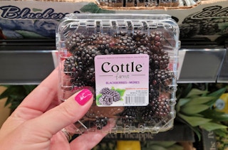 aldi blackberries 22 sv 1657133409 1657133410