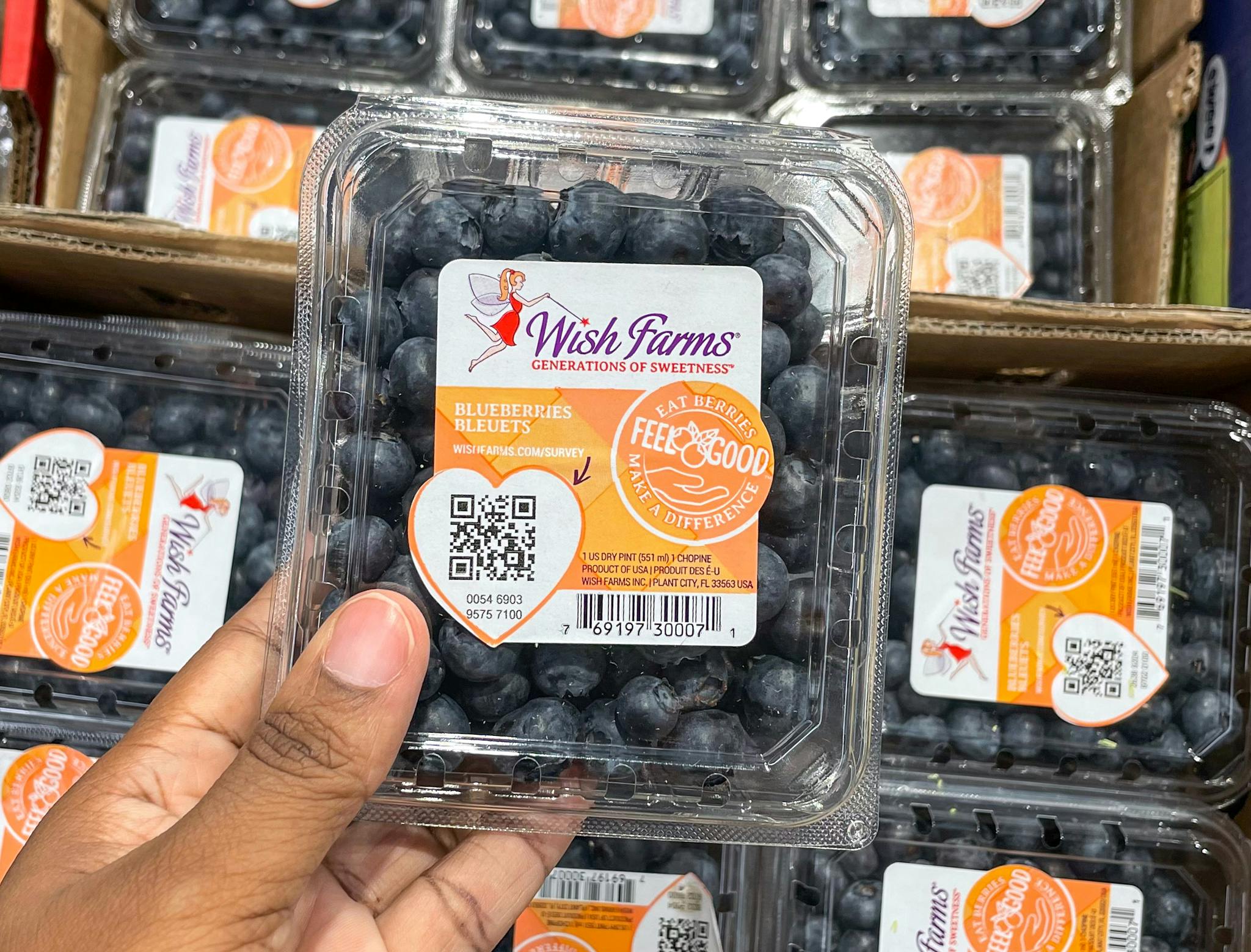 packaged blueberries held in hand at aldi 