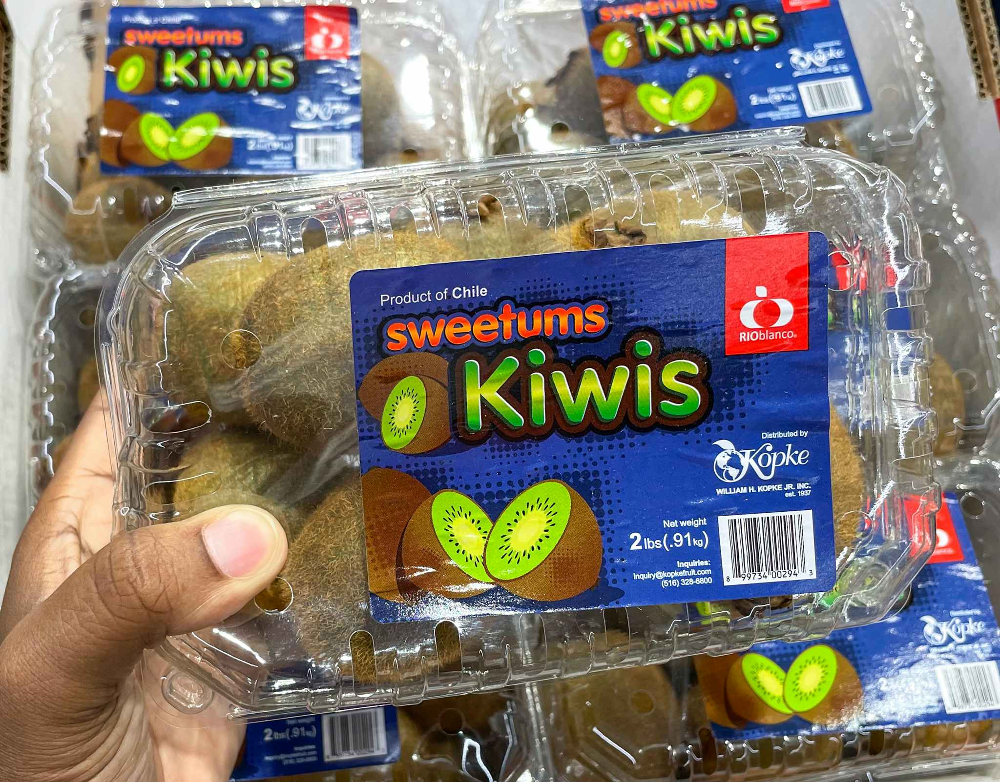 hand held kiwi in package at aldi