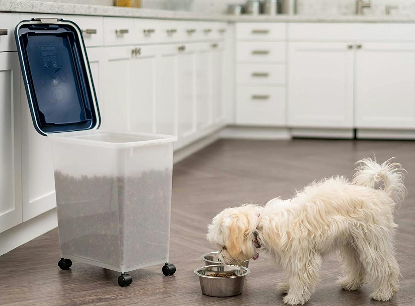 Pet Coupons The Krazy Coupon Lady July 2022