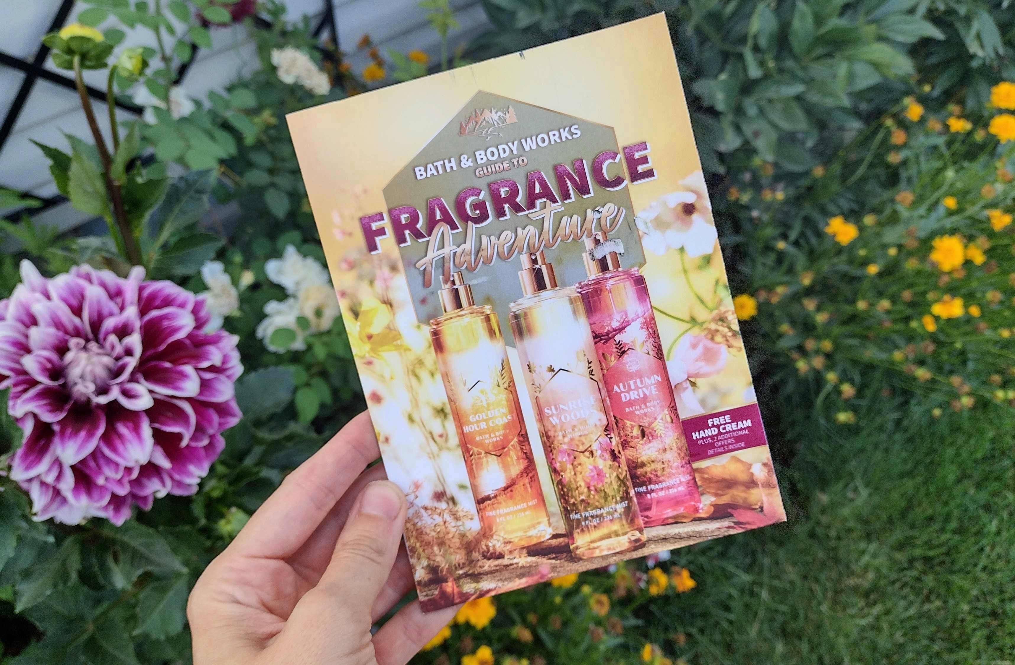 New Bath & Body Works Coupon Mailer — 20% Off Entire Purchase ...