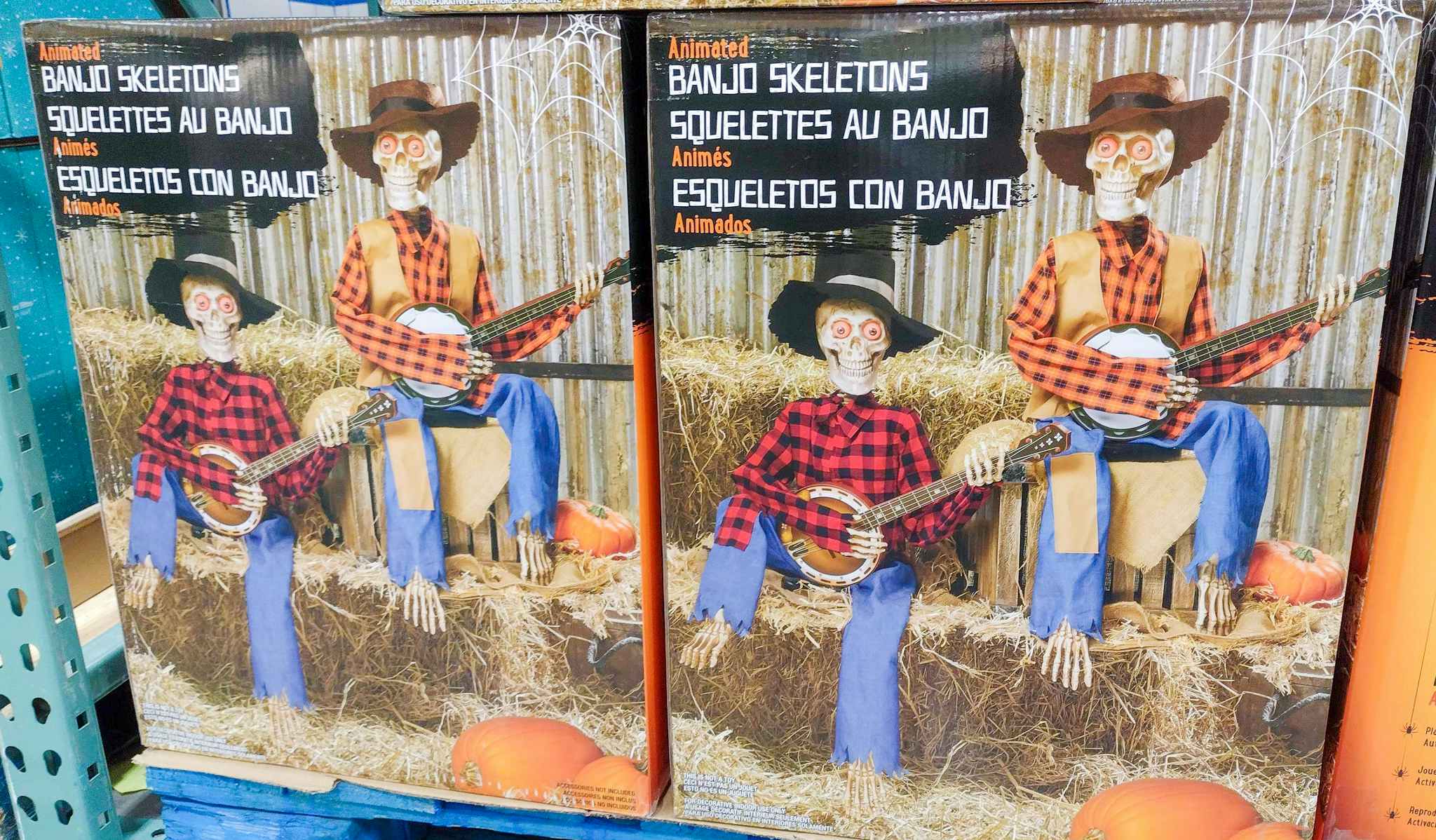 animated banjo skeletons for halloween decor in boxes at costco 