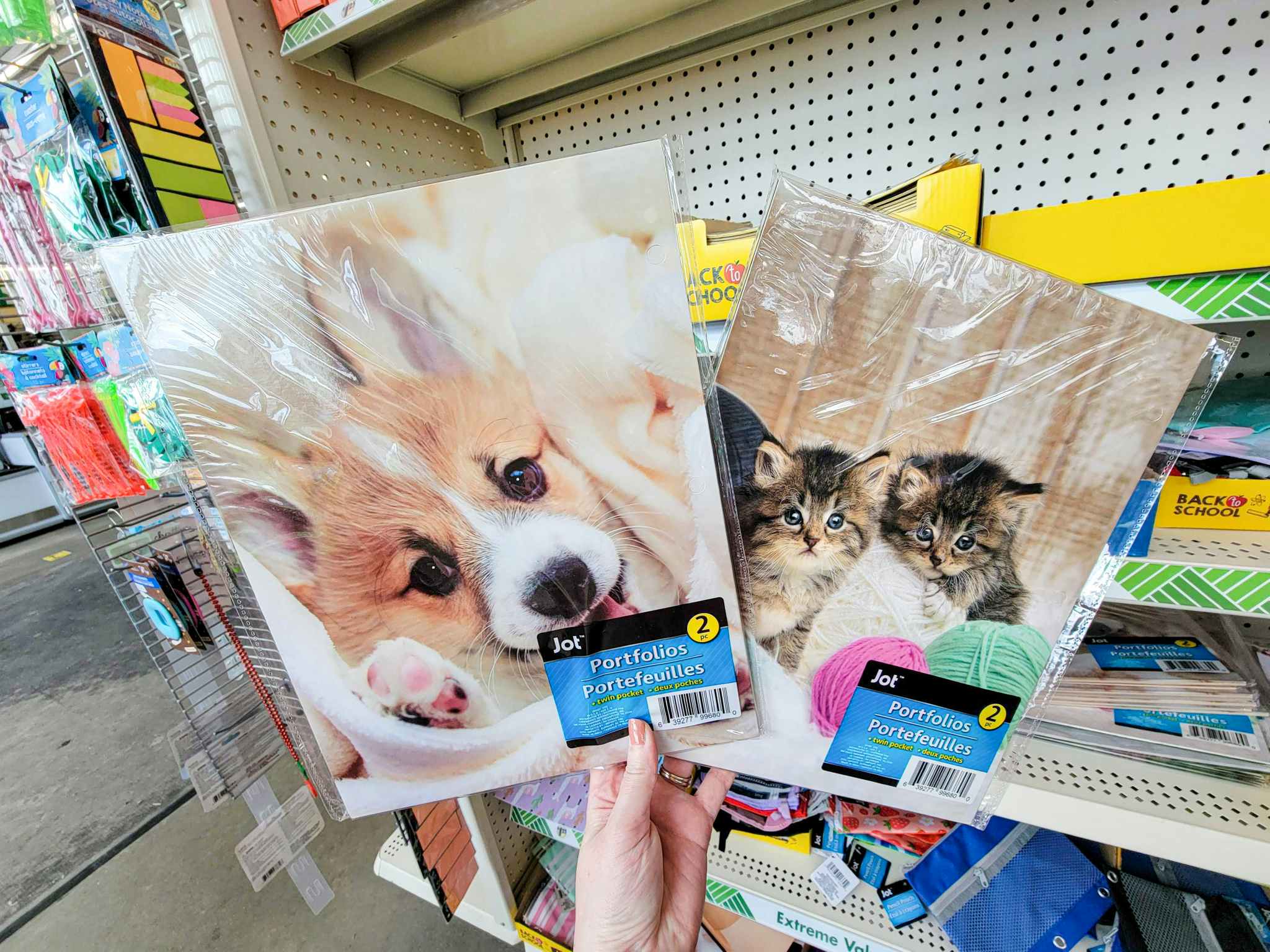 2-packs of folders with puppies and kittens on them