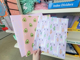 hand holding folders featuring avocados, llamas, and cheetah spots
