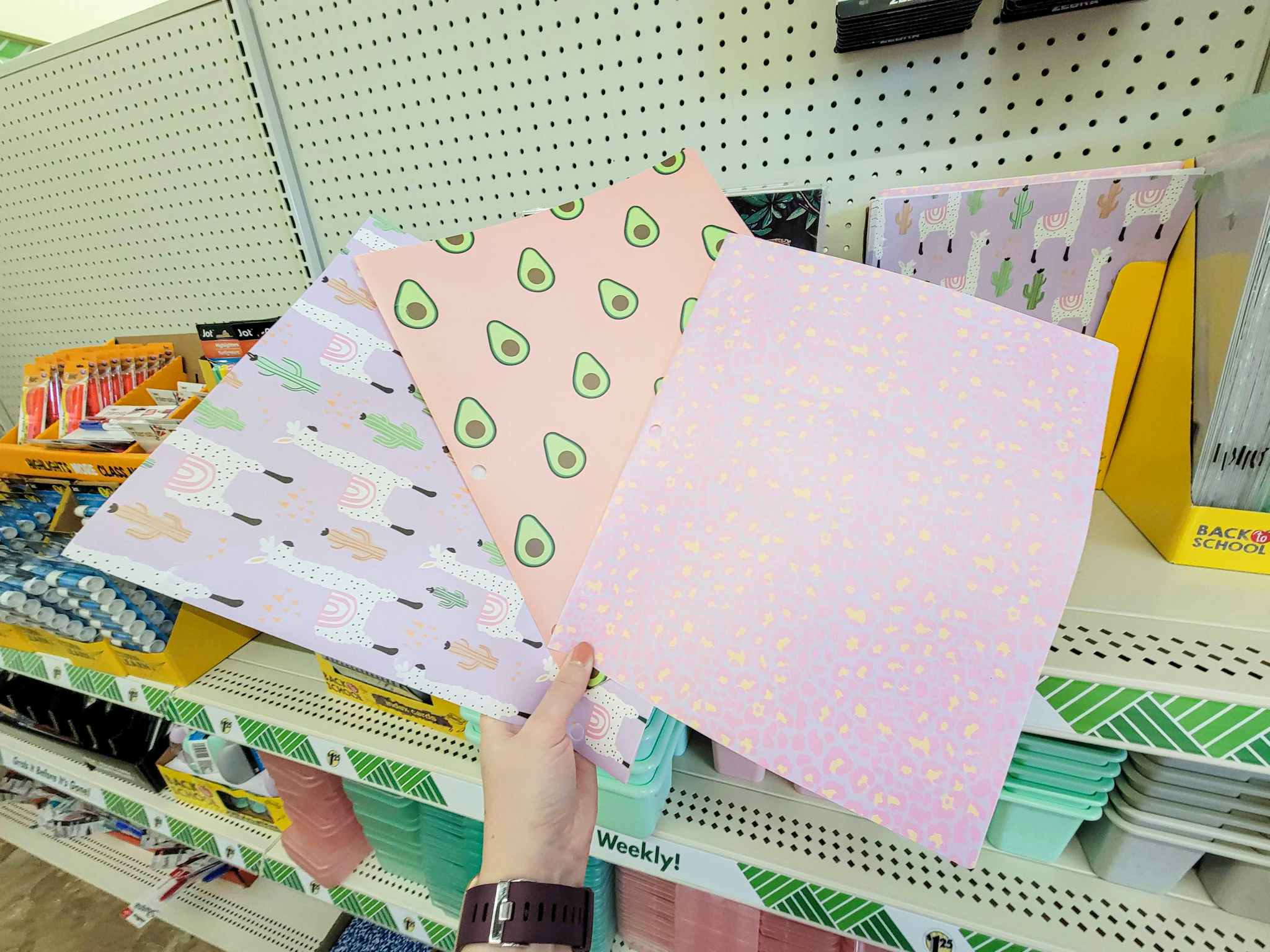 hand holding 3 folders, one with llamas, one with avocados, and a cheetah spot folder
