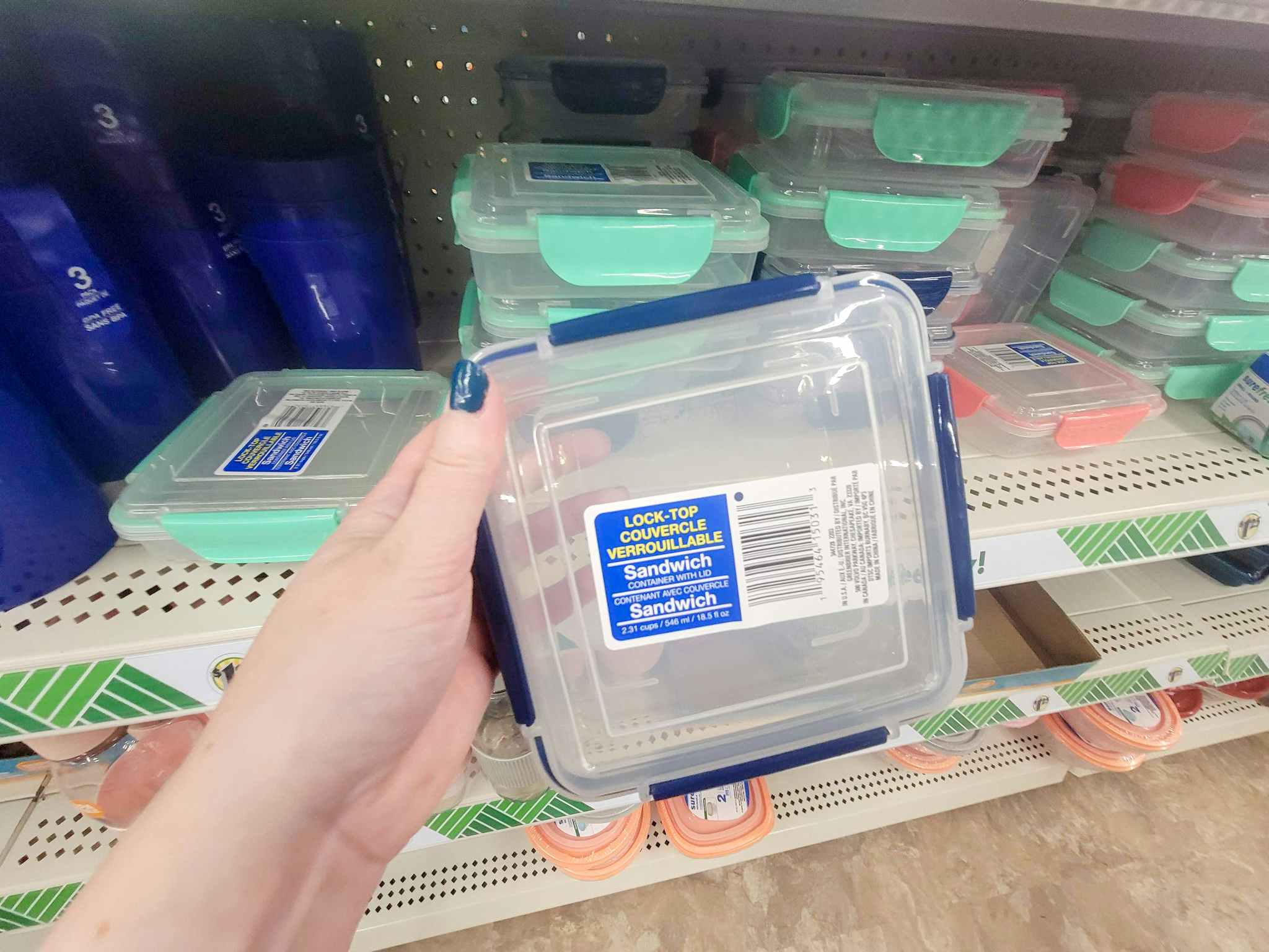 hand holding a lunchbox sandwich container