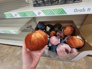 velvet pumpkins in orange, teal and pink