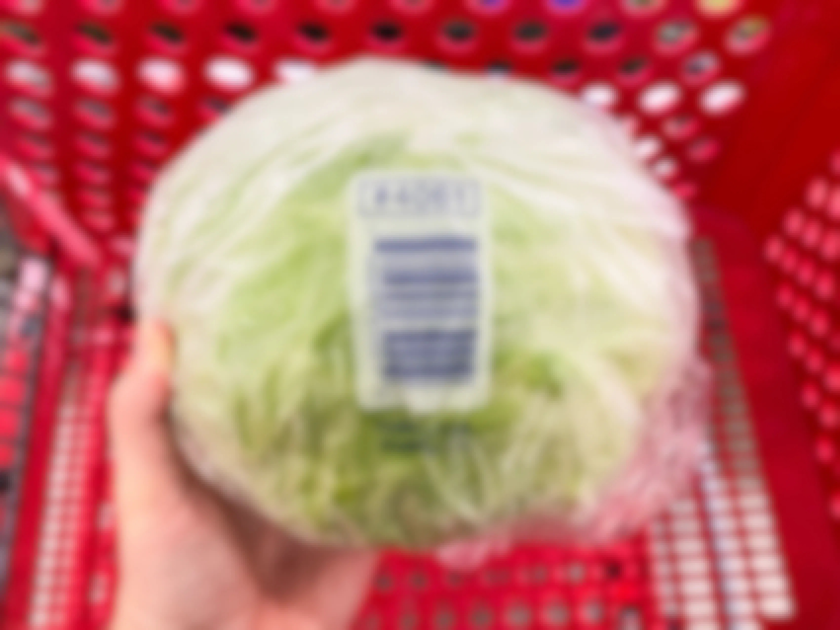 hand holding a head of iceberg lettuce over a target cart