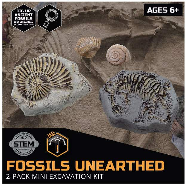 Toy Excavation Kit Mini Fossil, 2 Pieces