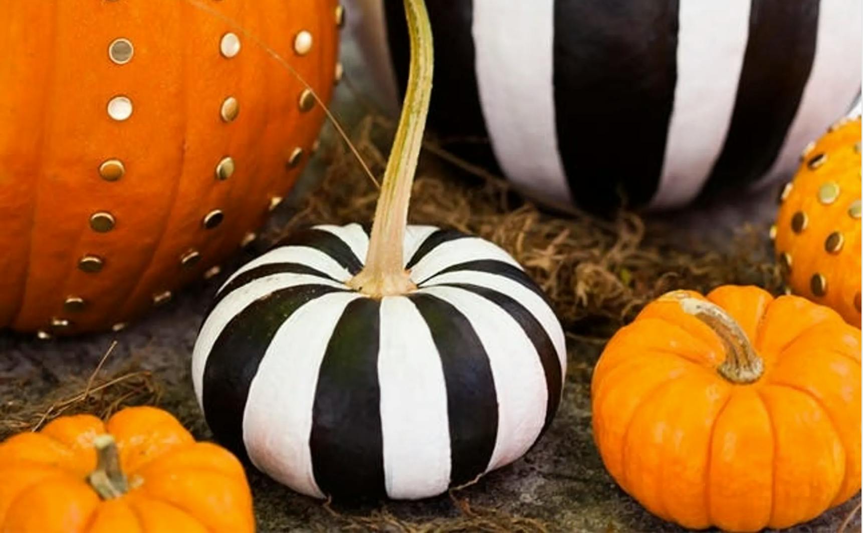 Close-up of an assortment of orange and black and white vertically striped pumpkins on the ground.