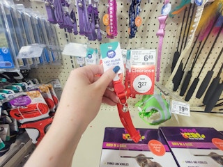 hand holding a red cat collar