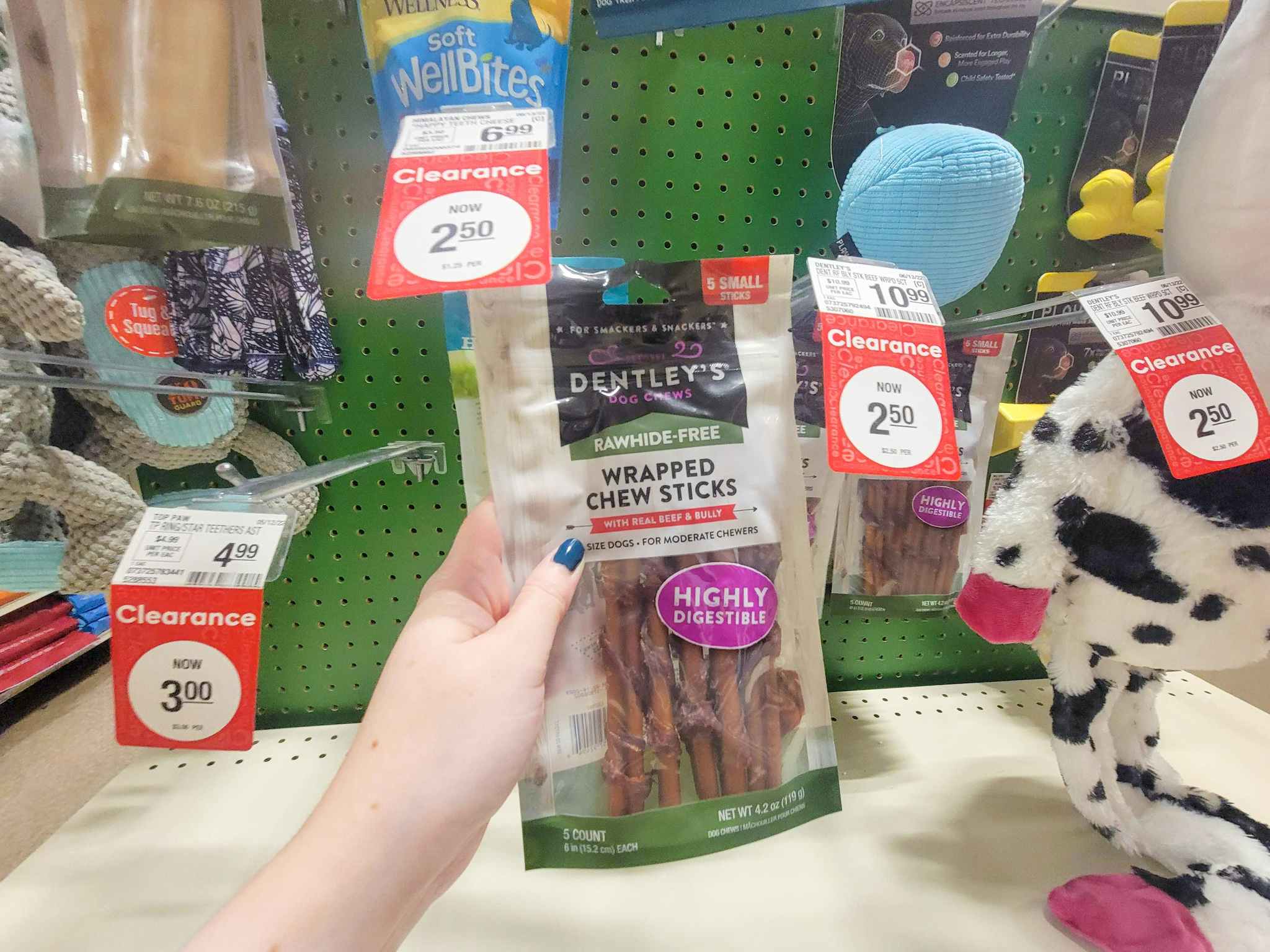 hand holding a bag of dog chews