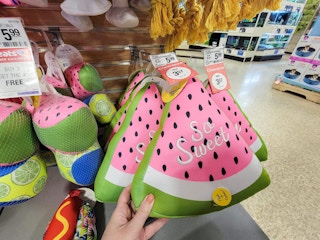 hand holding a watermelon slice dog toy that says so sweet