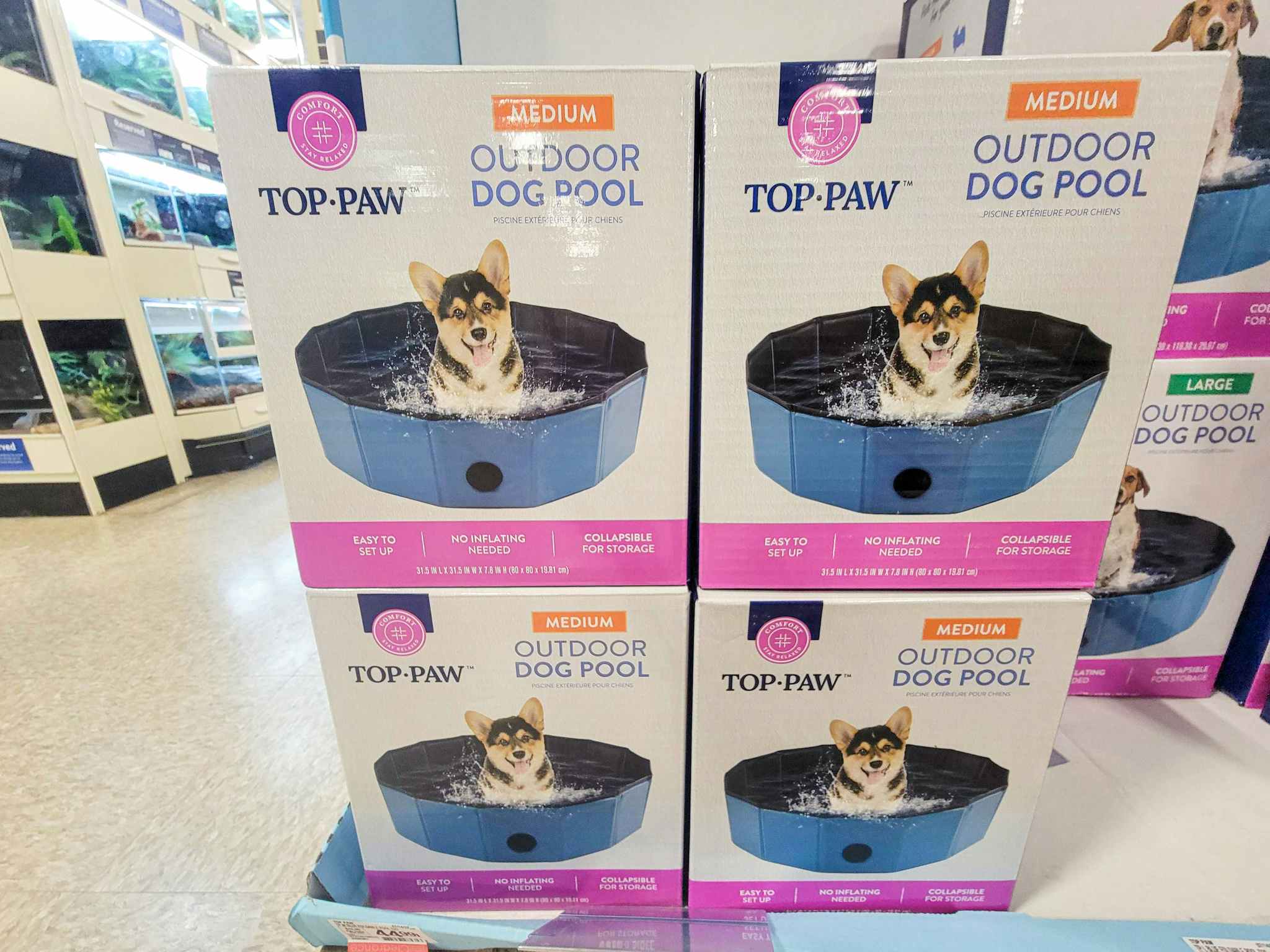 medium dog pools