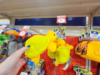 hand holding a turtle dog toy