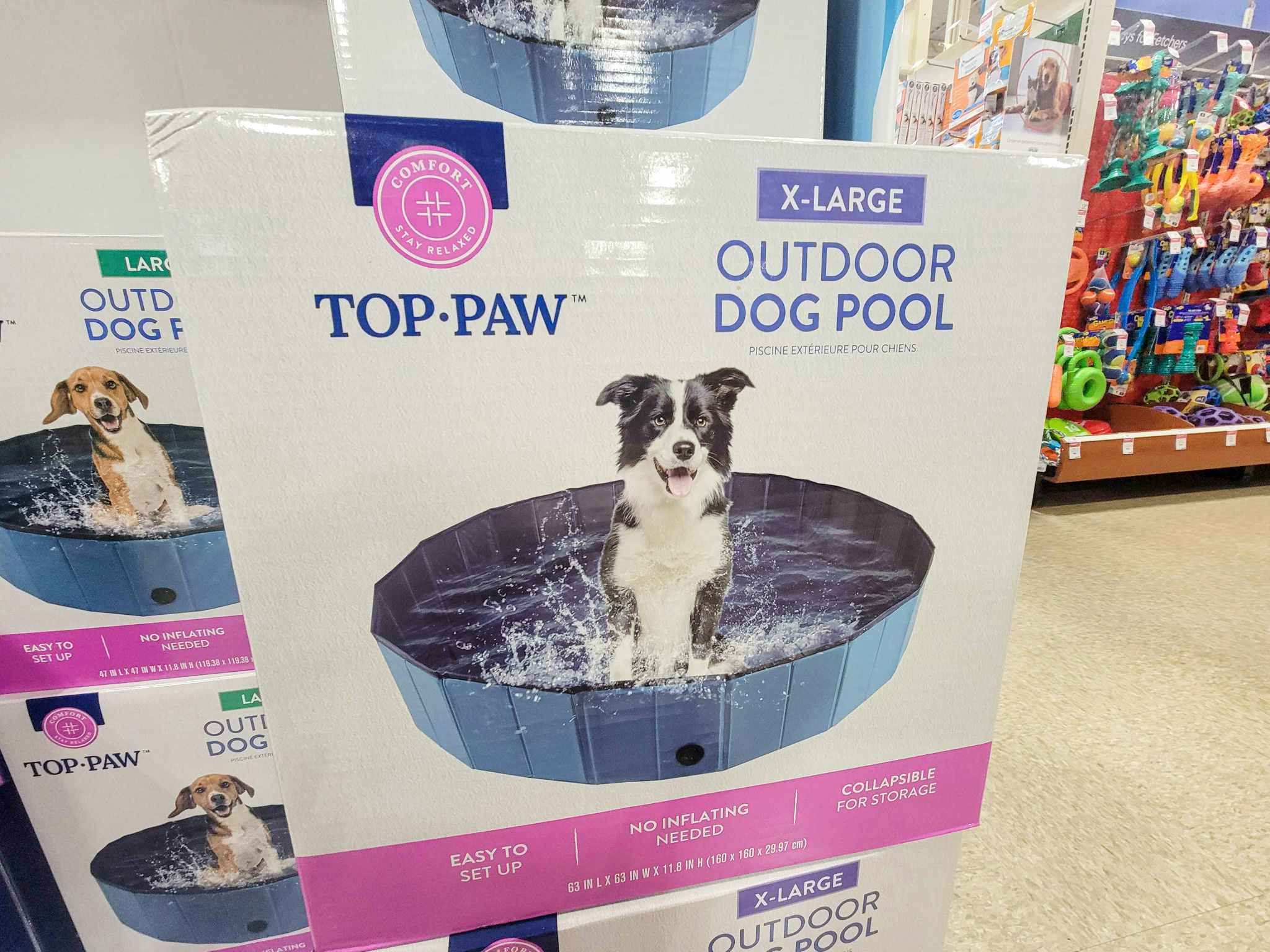 xlarge outdoor dog pool
