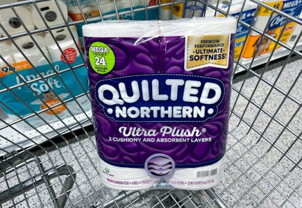 Quilted Northern Ultra Plush