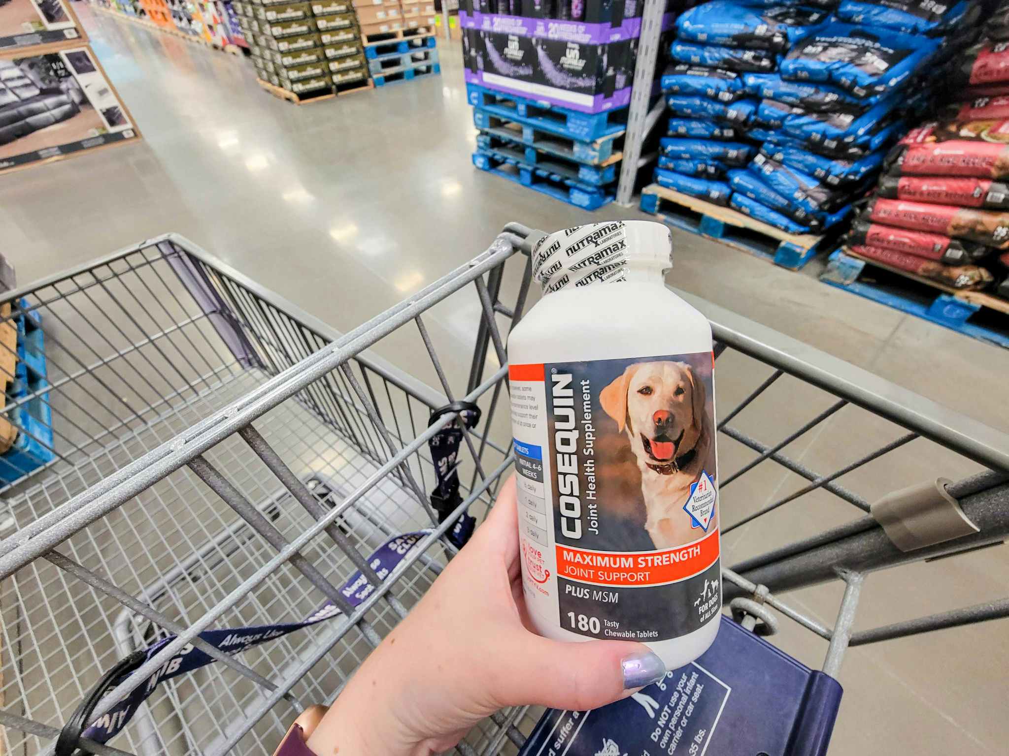 hand holding a bottle of cosequin joint health supplement for dogs over a cart