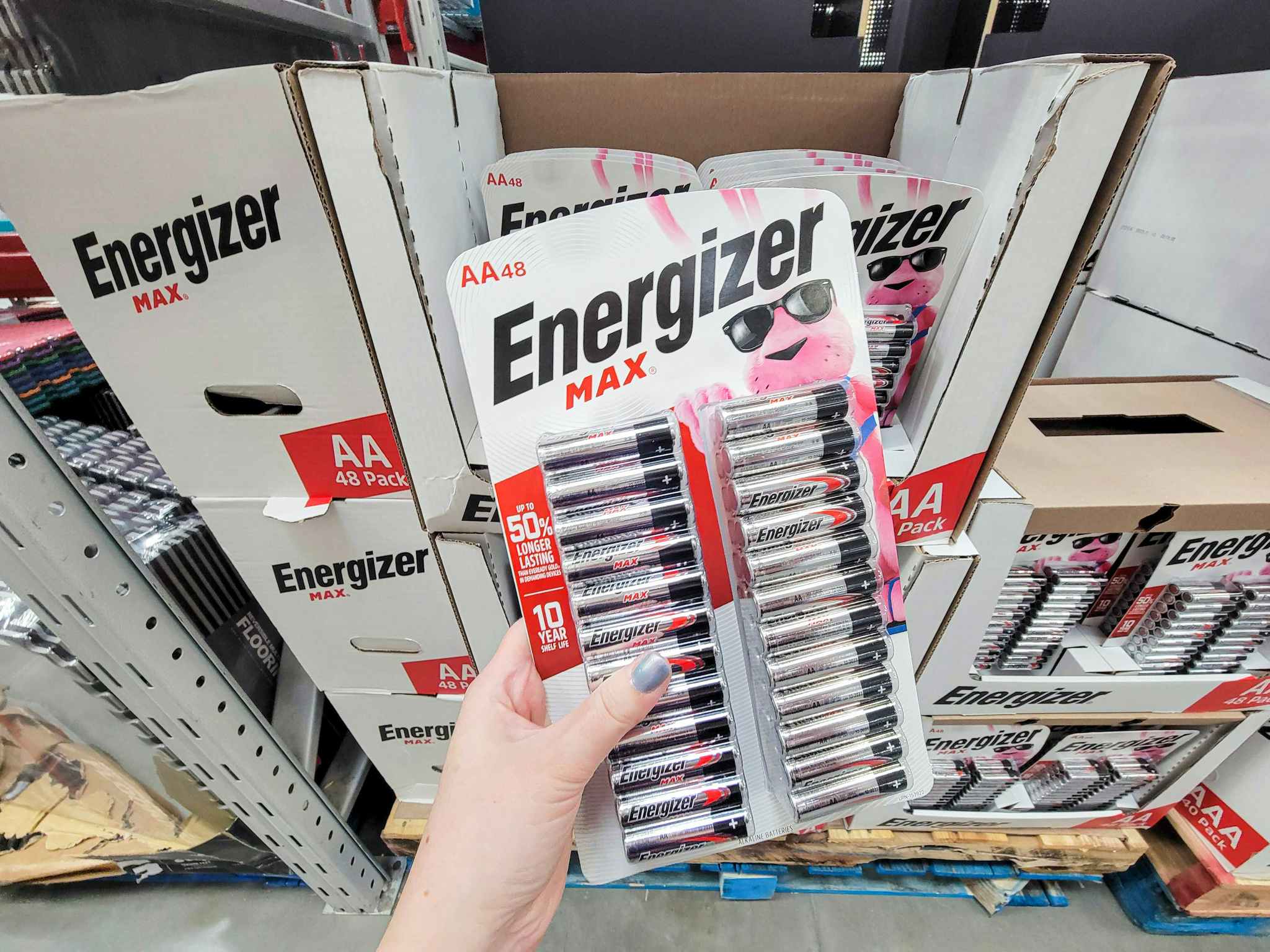 hand holding a 48 pack of energizer aa batteries