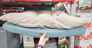 hand holding an orthopedic pillowtop dog bed