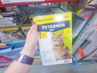 hand holding a pack of petarmor flea and tick prevention for cats